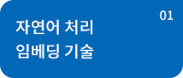 자연어 처리 임베딩 기술